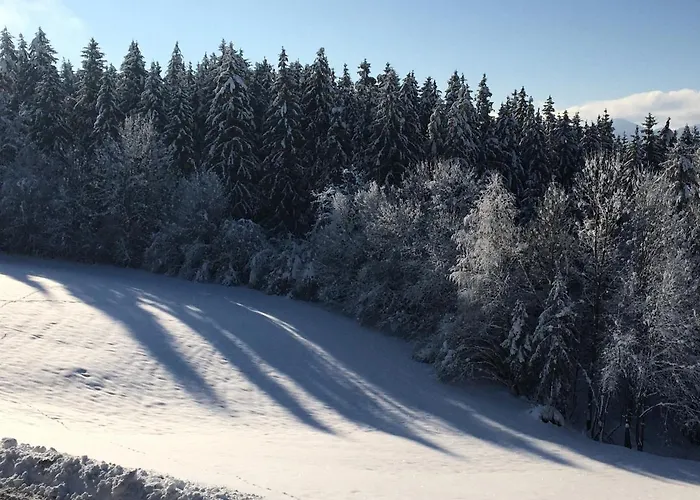 Haus Moser * 밀슈타